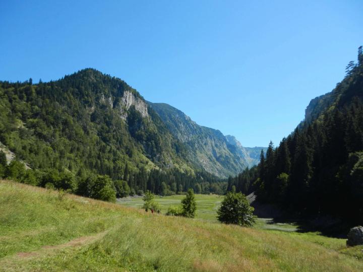 Sušičko Lake