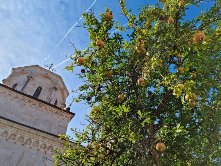 Savina Monastery