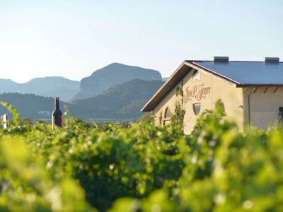 Explore Mallorca's Interior