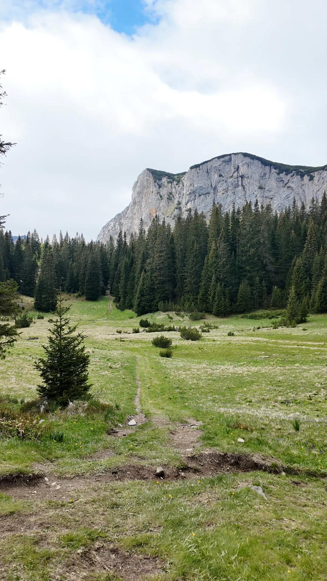 place