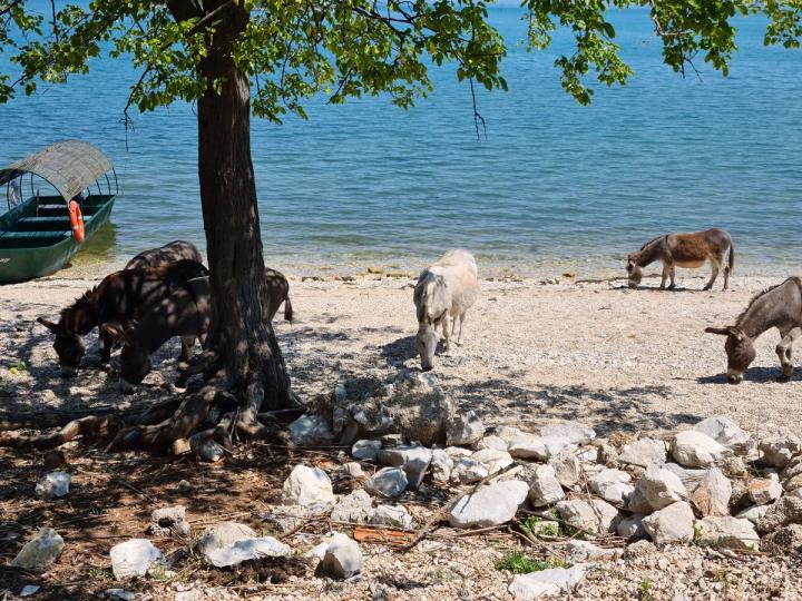 Murići Beach