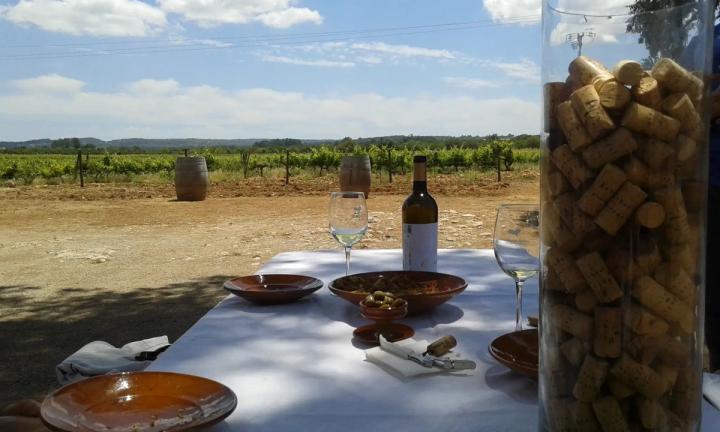 Bodega Antonio Nadal