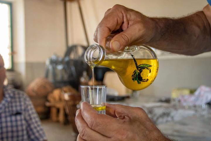 Olive mill tour & tasting