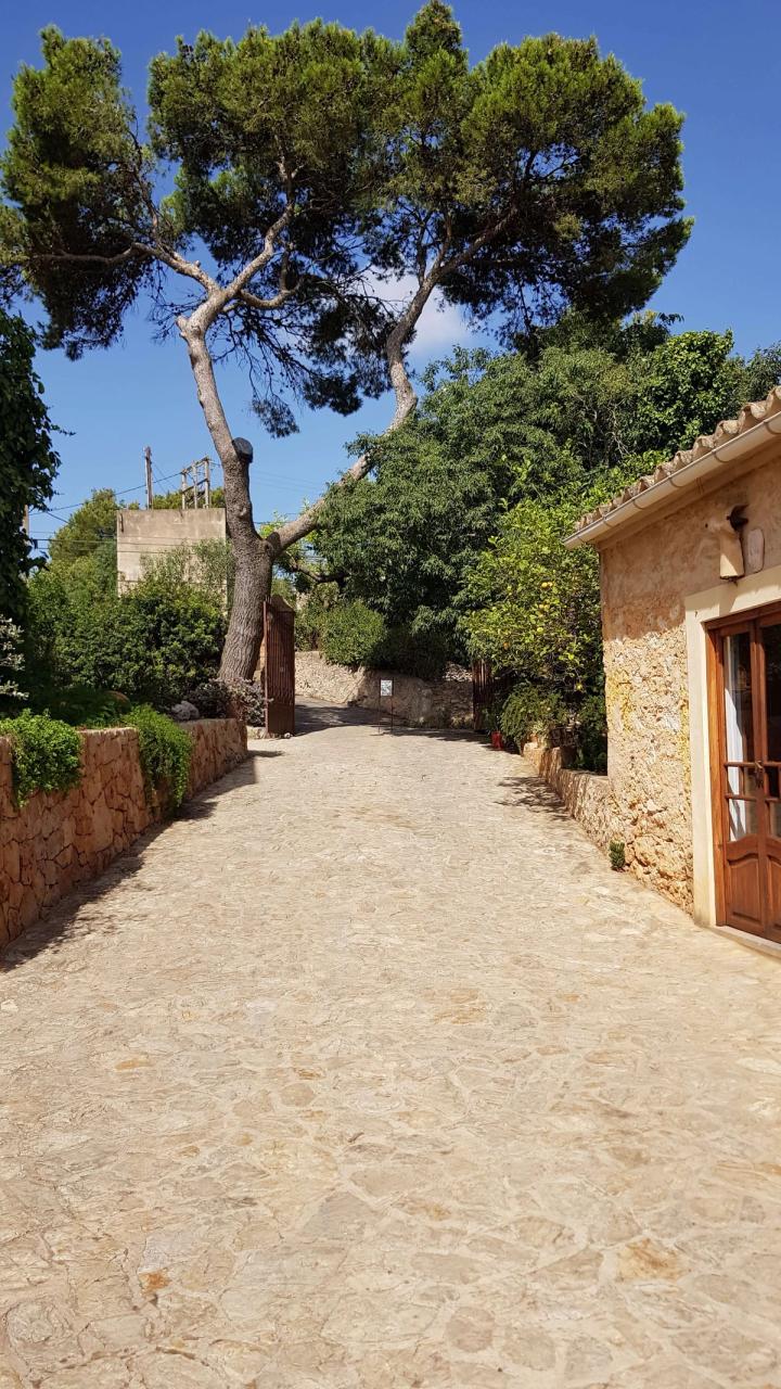 Bodega Ramanyà