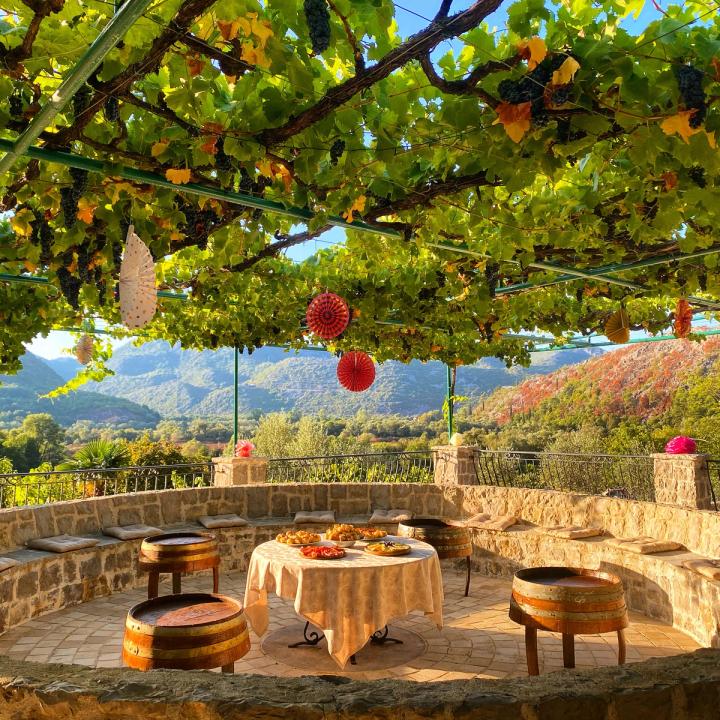 Vineyard tour & tasting at the Skadar Lake