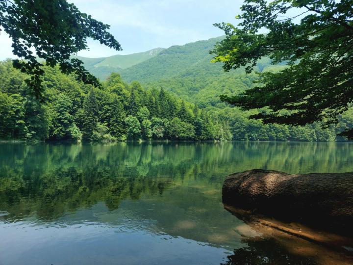 Biogradsko Lake