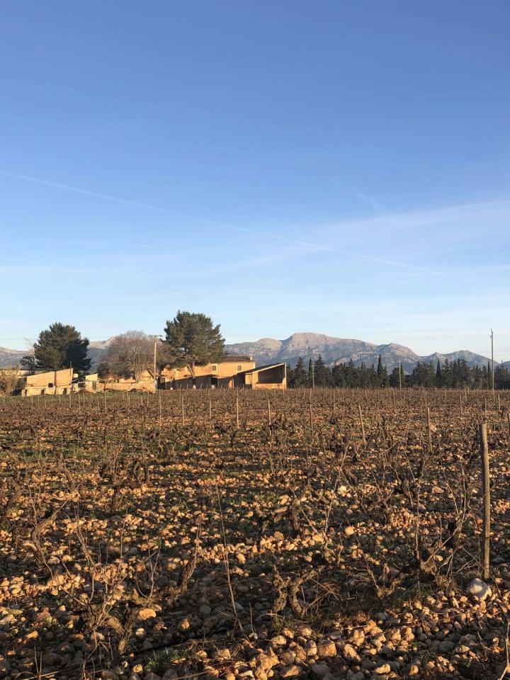 Bodega Antonio Nadal