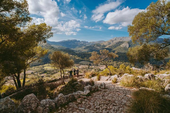 Pollença