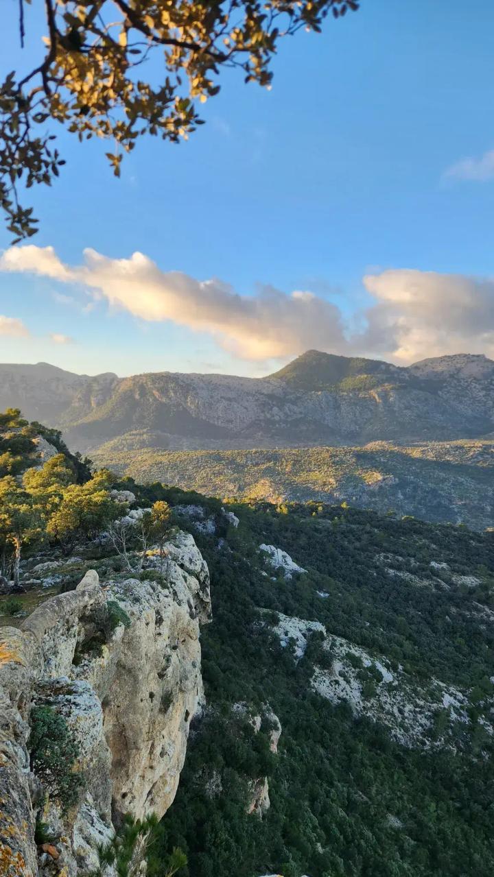 Alaró Castle