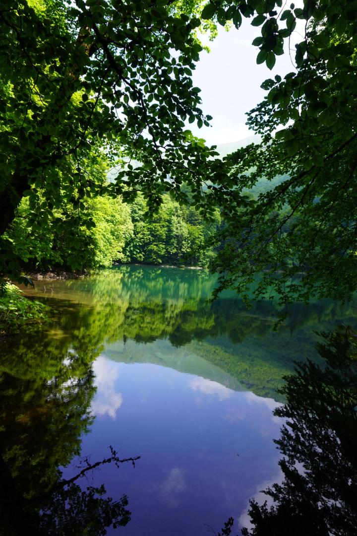 Biogradsko Lake