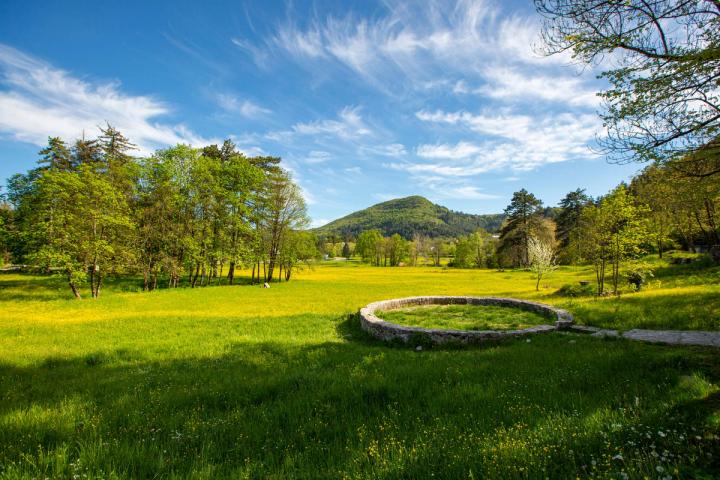 Cetinje