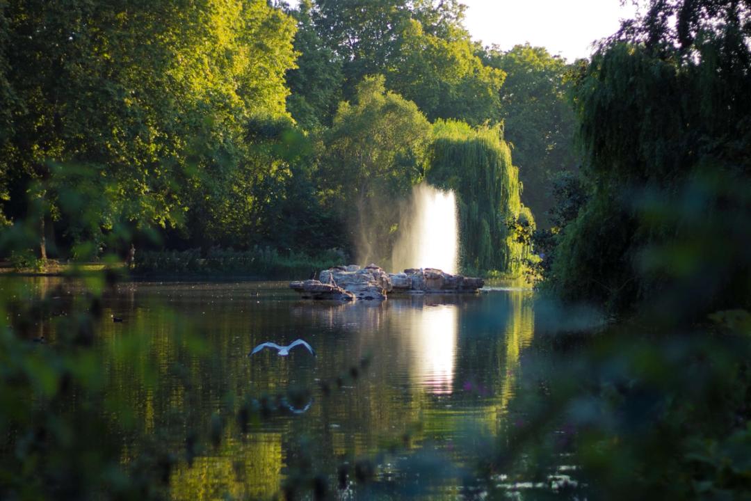 Explore the 8 Royal Parks in London