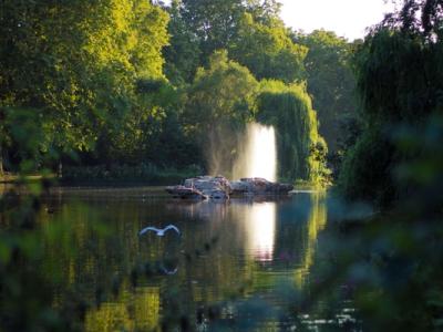 Explore the 8 Royal Parks in London