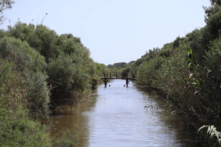 Parc Natural de s'Albufera