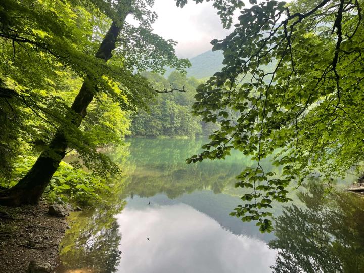 Biogradsko Lake