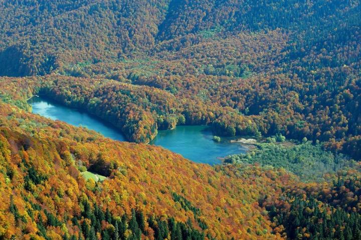 Biogradska Gora National Park