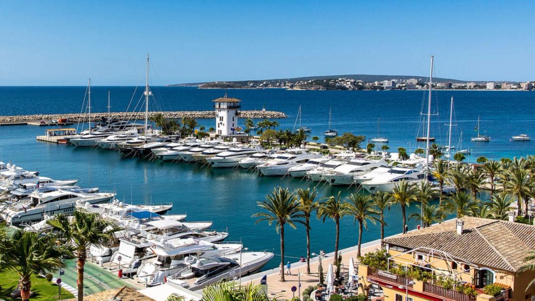 Explore the bay of Palma