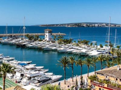 Explore the bay of Palma