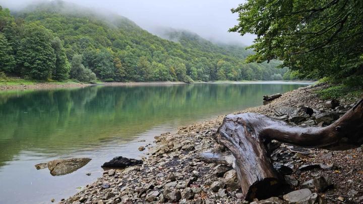 Biogradsko Lake