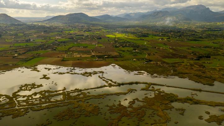 Parc Natural de s'Albufera