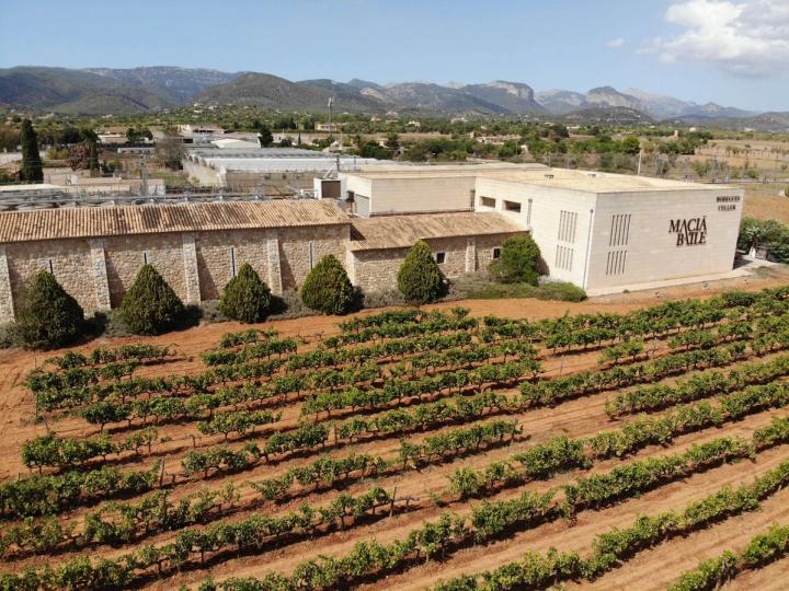 Bodegas Macià Batle