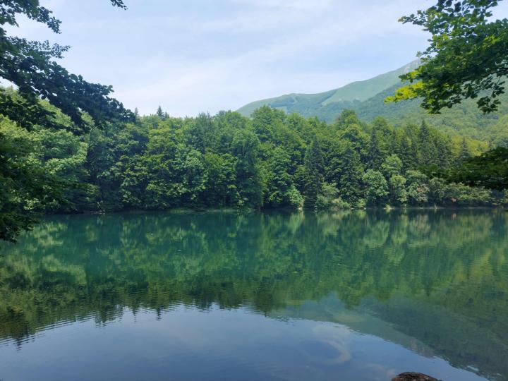 Biogradsko Lake