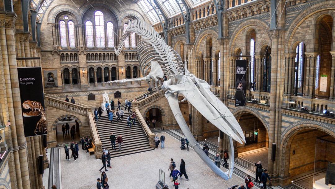 London's Must-See Museums