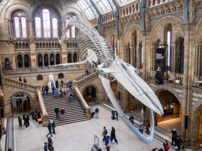London's Must-See Museums