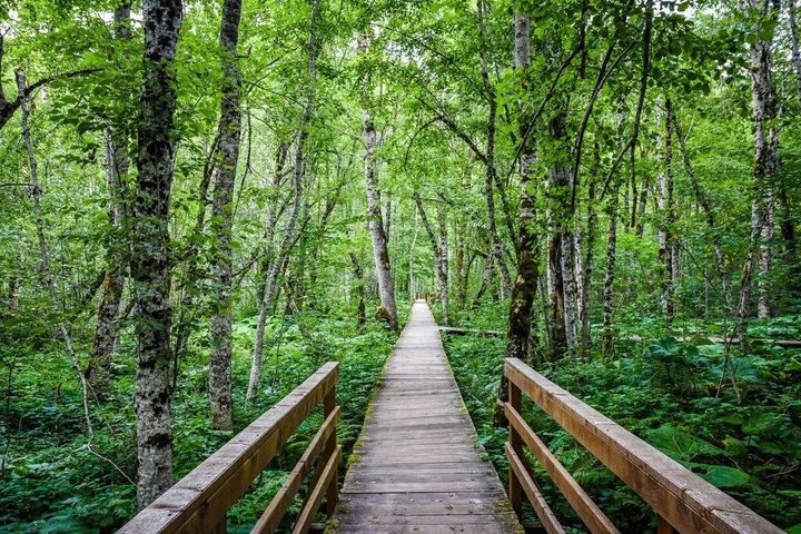 Biogradska Gora National Park