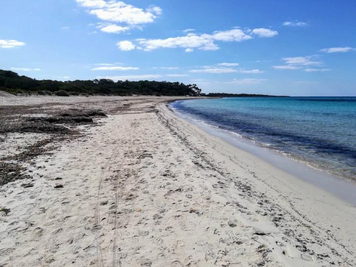 Es Carbó Beach