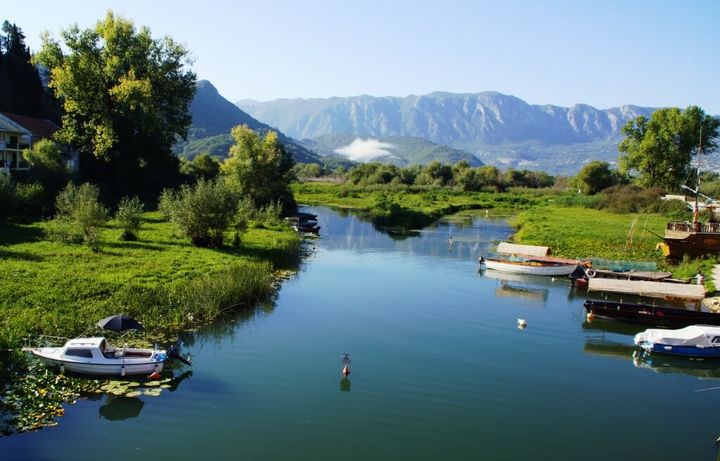 Skadar Lake