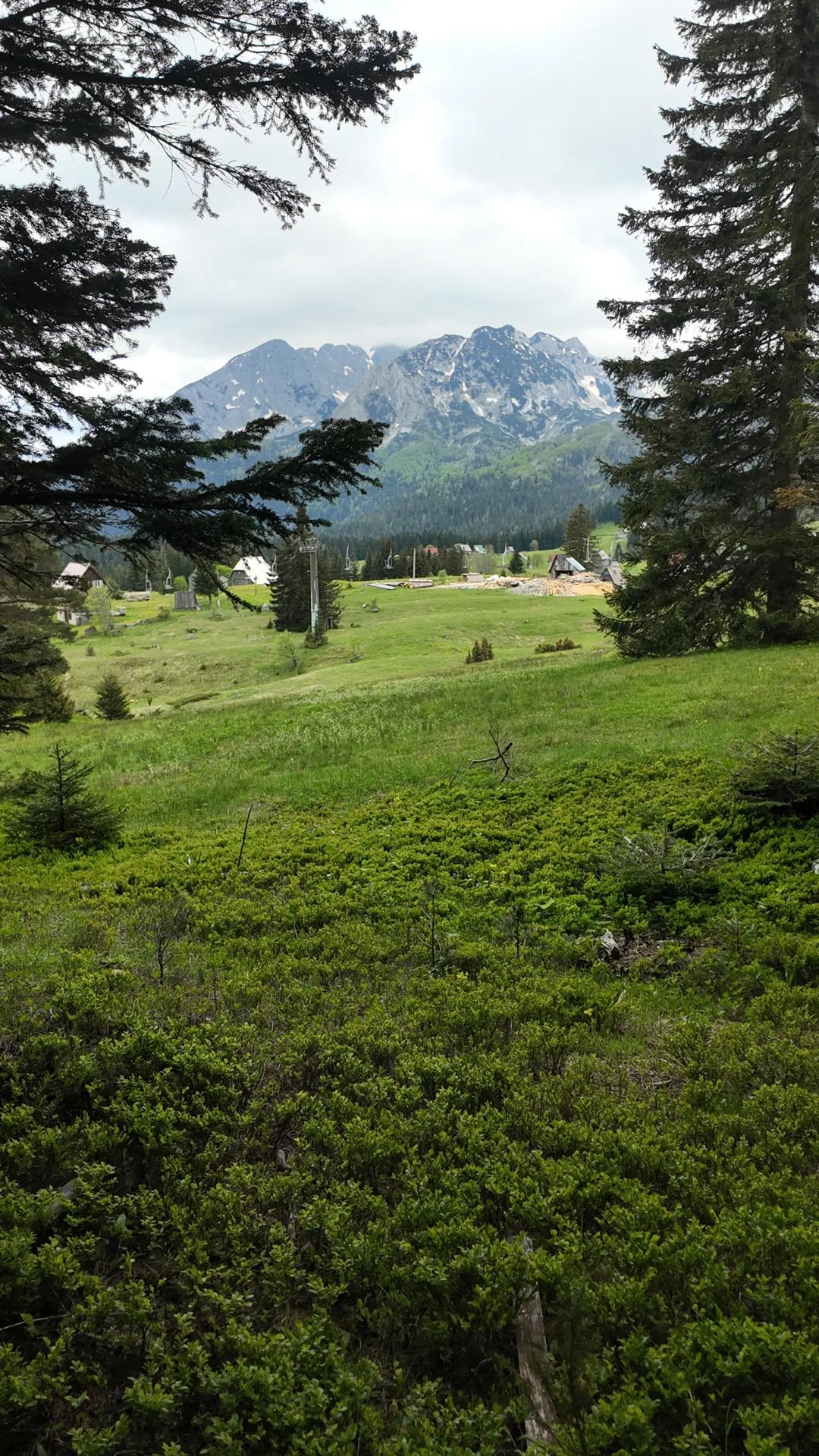 place