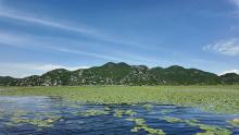 Cruise across Lake Skadar to a remote fishing village