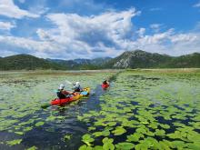 Kayak from Vranjina into Skadar Lake’s wild wetlands