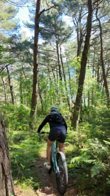 Get some adrenaline on the way down