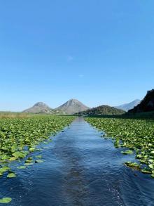 Explore Lake Skadar’s secret waterways