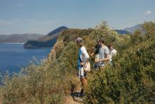 Discover hidden coves and seabird cliffs