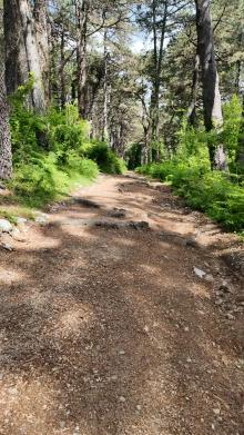 Go off-the-beaten-track