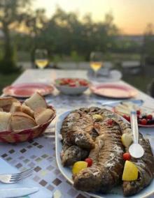 End the tour with a wild fish dinner (optional)