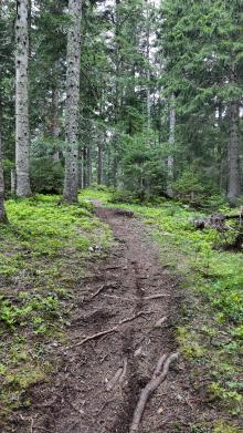 Choose between smooth asphalt or rocky downhill descents