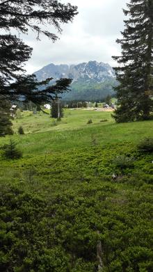 Explore remote alpine meadows alive with birdsong