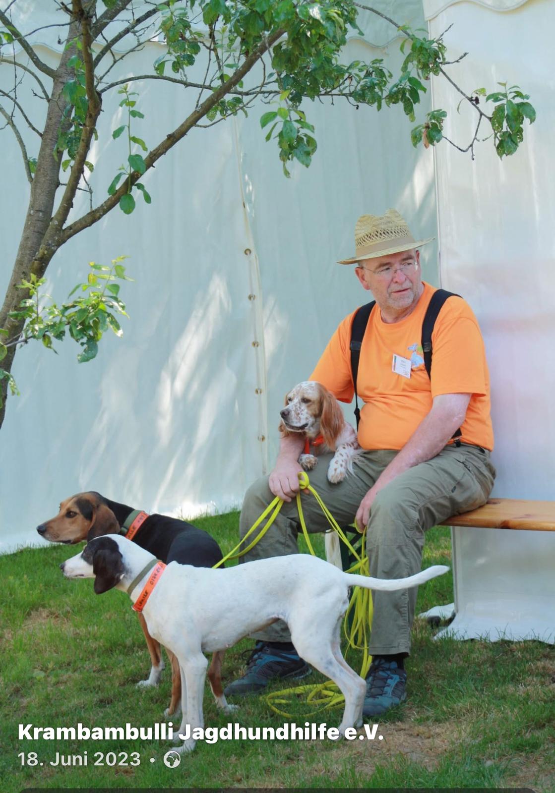 Ariegoise, Tierschutzhund, Krambambulli