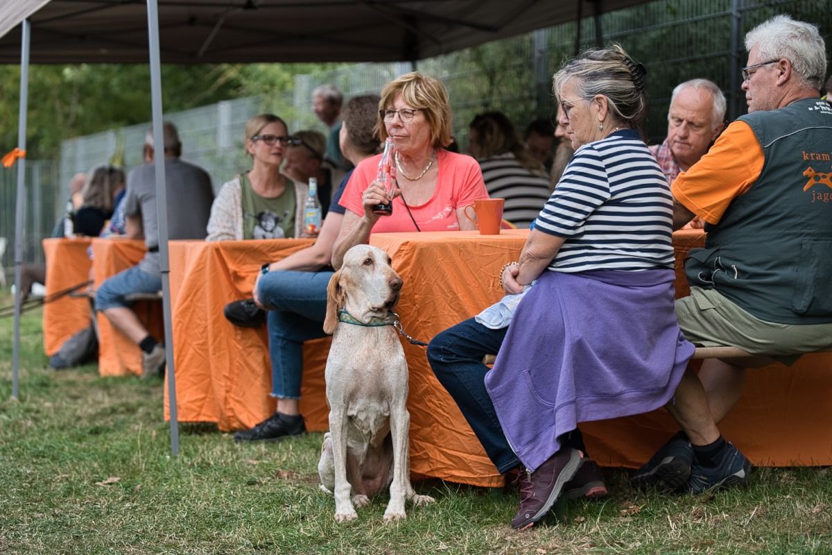Krambambulli Sommerfest