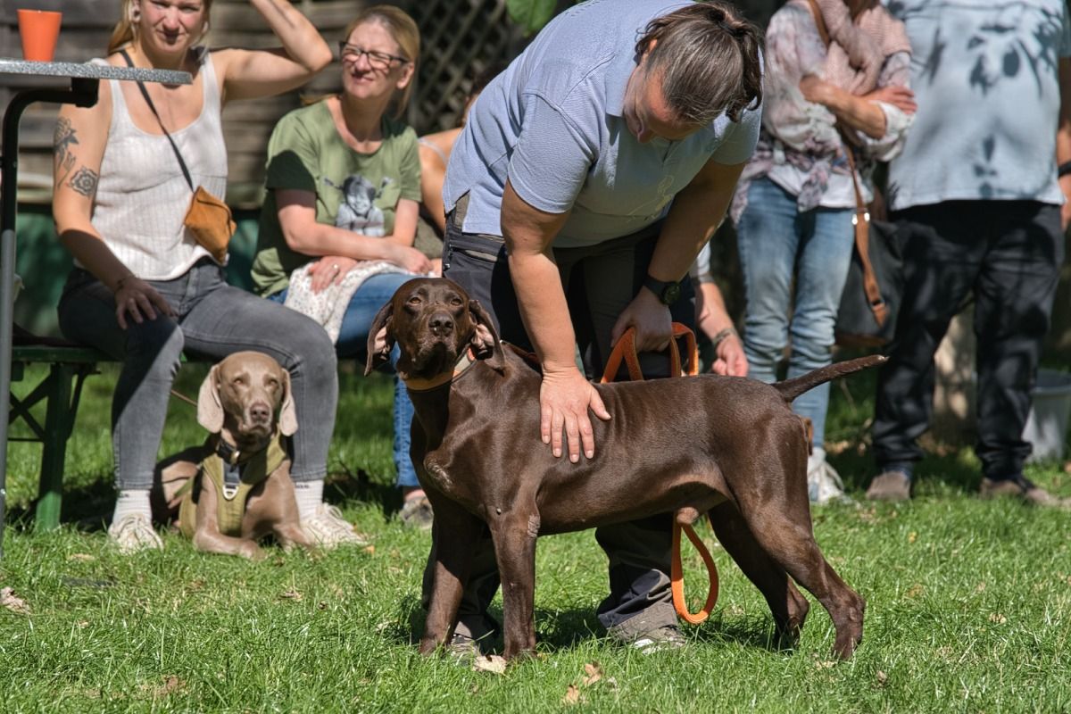 Krambambulli Sommerfest