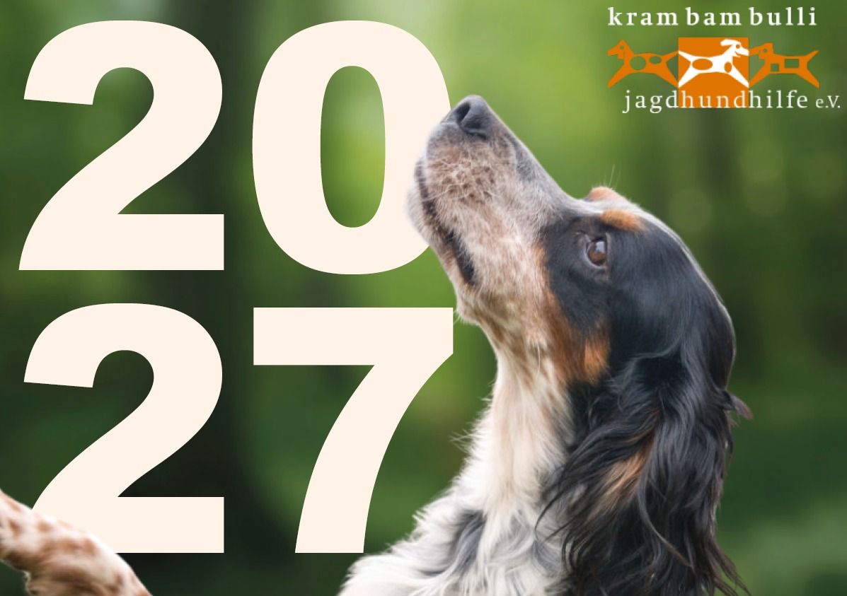 Tierschutz, Kalender 27, Krambambulli Jagdhundhilfe e.V.