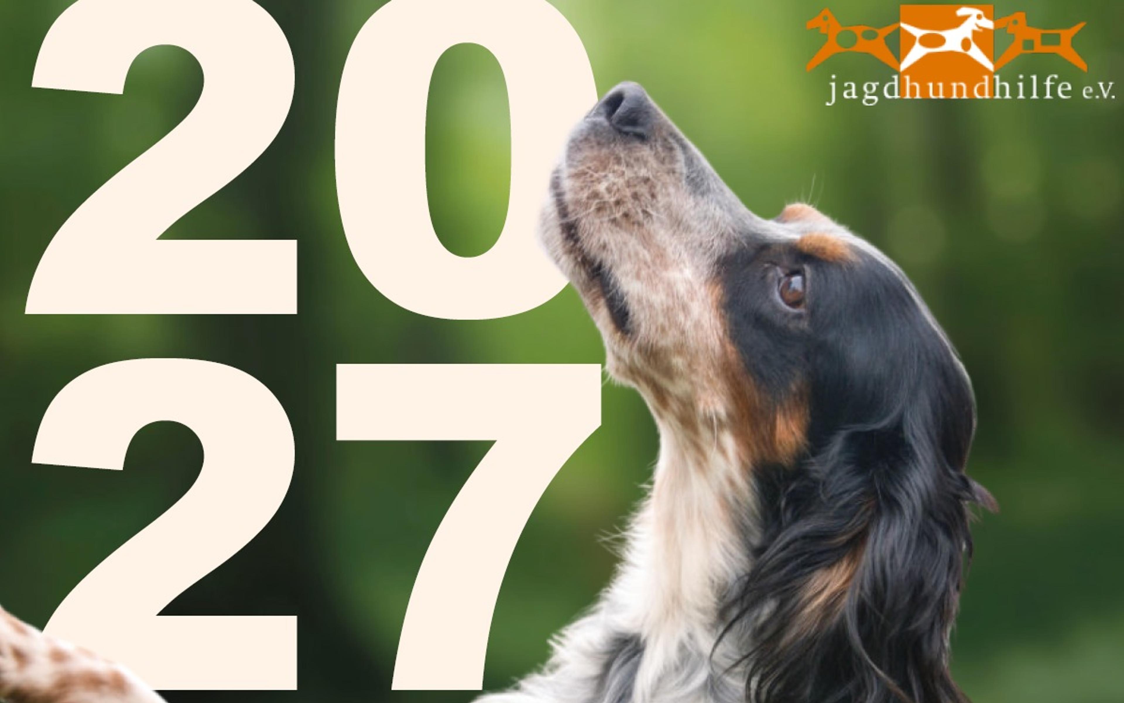 Tierschutz, Kalender 27, Krambambulli Jagdhundhilfe e.V.