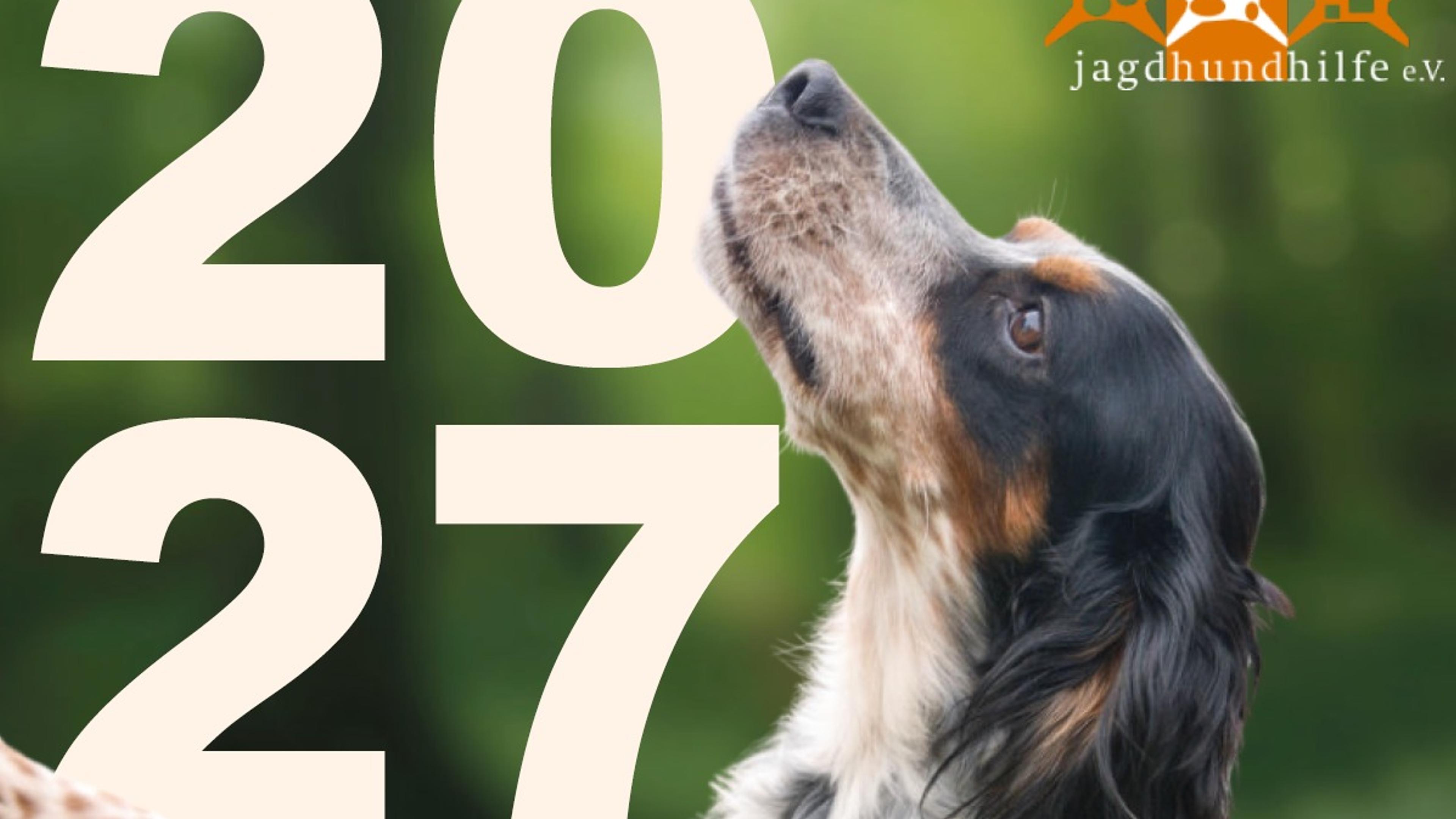Tierschutz, Kalender 27, Krambambulli Jagdhundhilfe e.V.