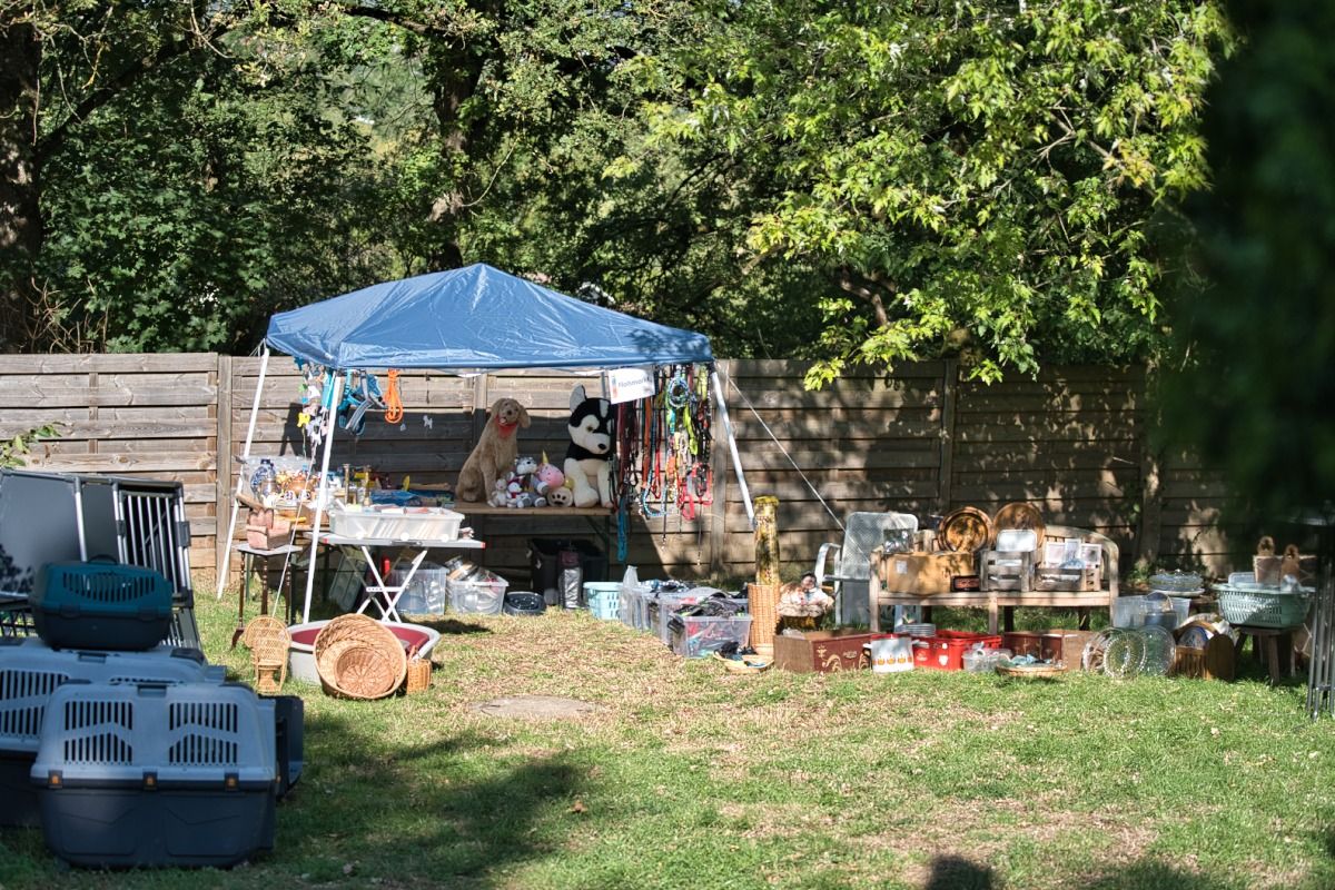 Krambambulli Sommerfest