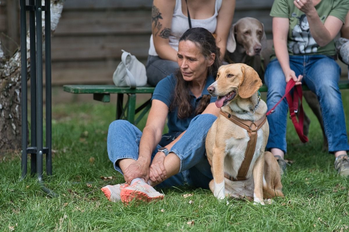 Krambambulli Sommerfest
