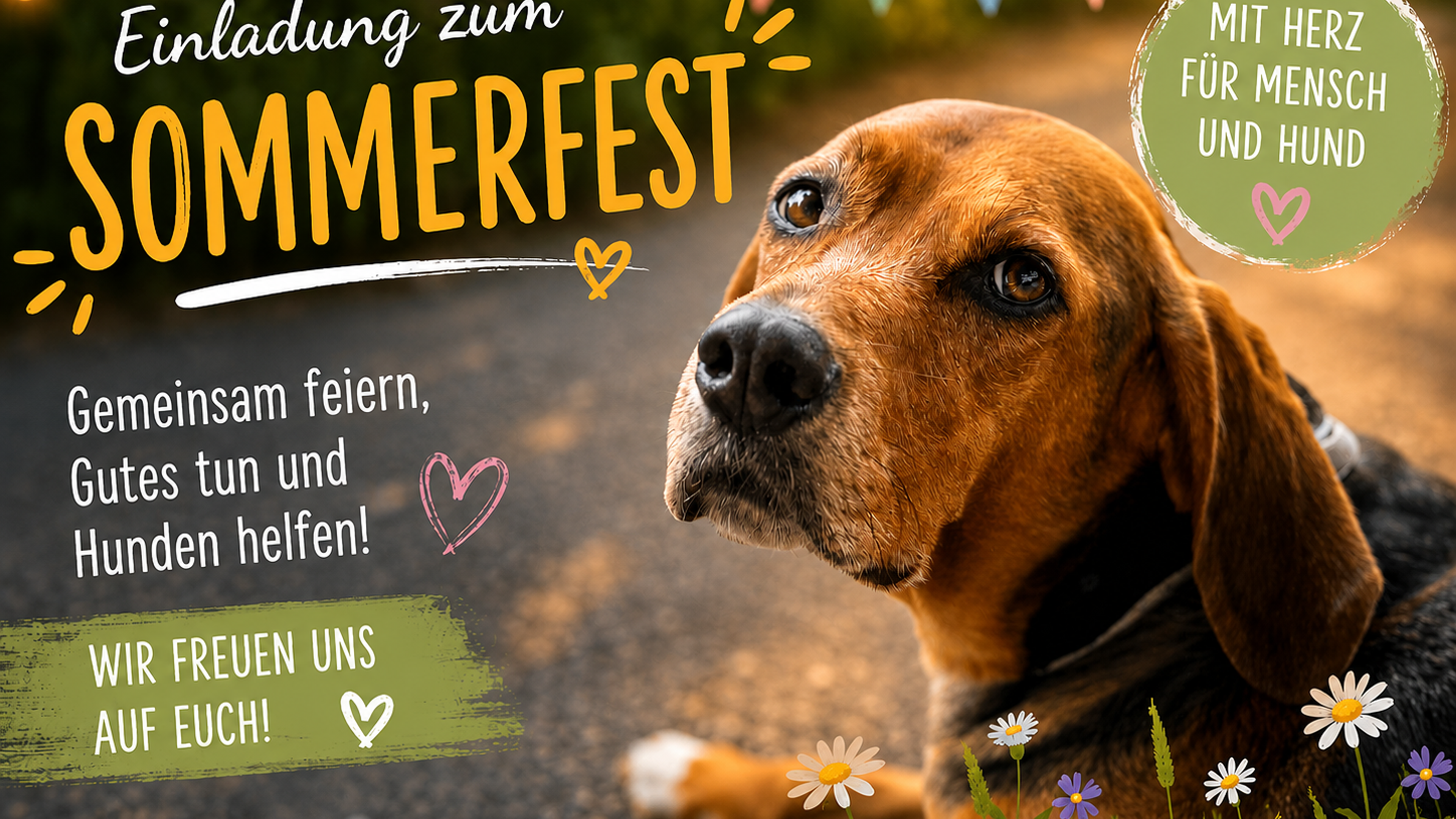 Einladung zum Krambambulli Sommerfest 2026